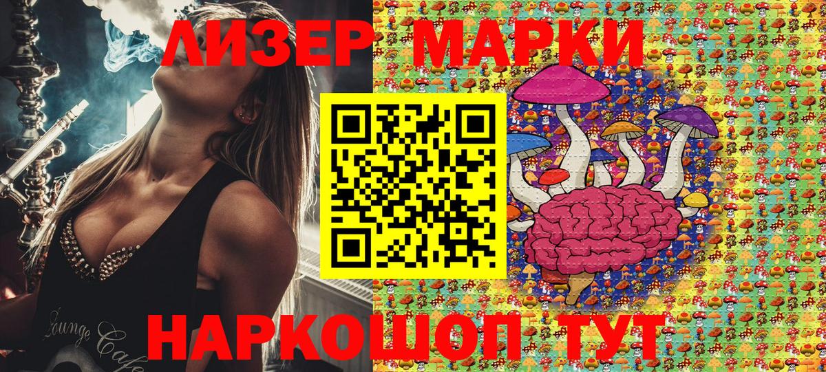 Губкинский  Марки N-bome  где продают   Наркотические марки 1,8мг  Вход с VPN 