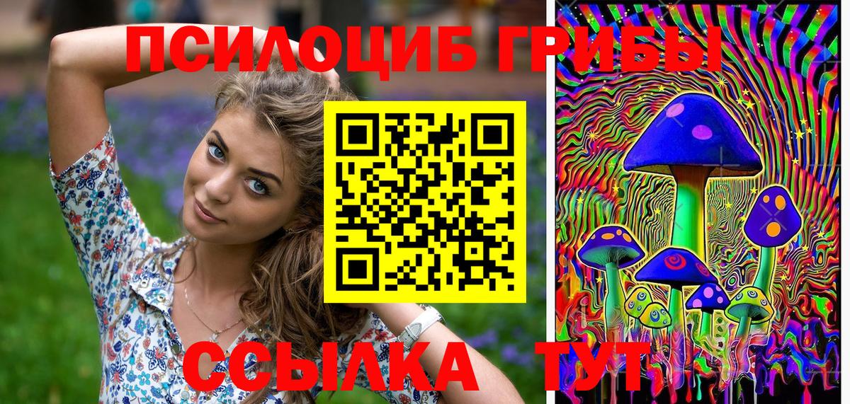 Галлюциногенные грибы ЛСД  Вход с VPN  Губкинский 