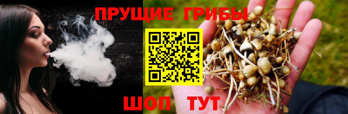 Псилоцибиновые грибы мицелий Губкинский