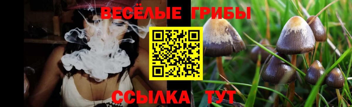 Кодеин Губкинский